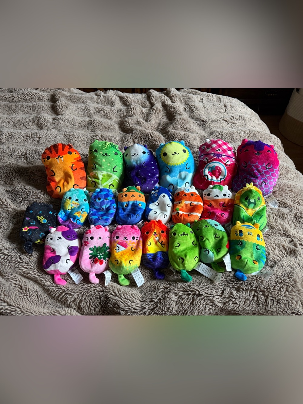 Cats vs Pickles - 6 Chonks - 16 Regular Size